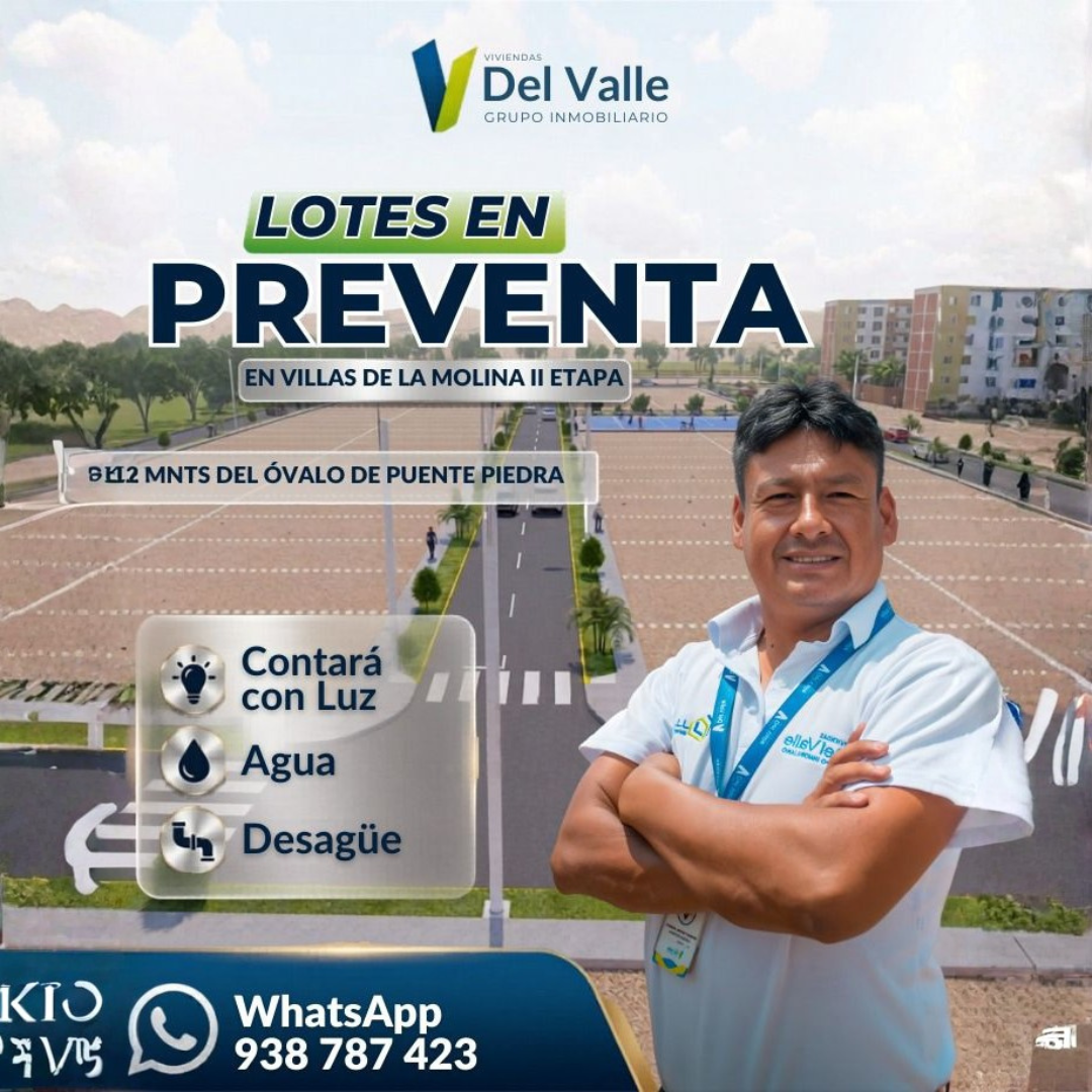 Flyer 6